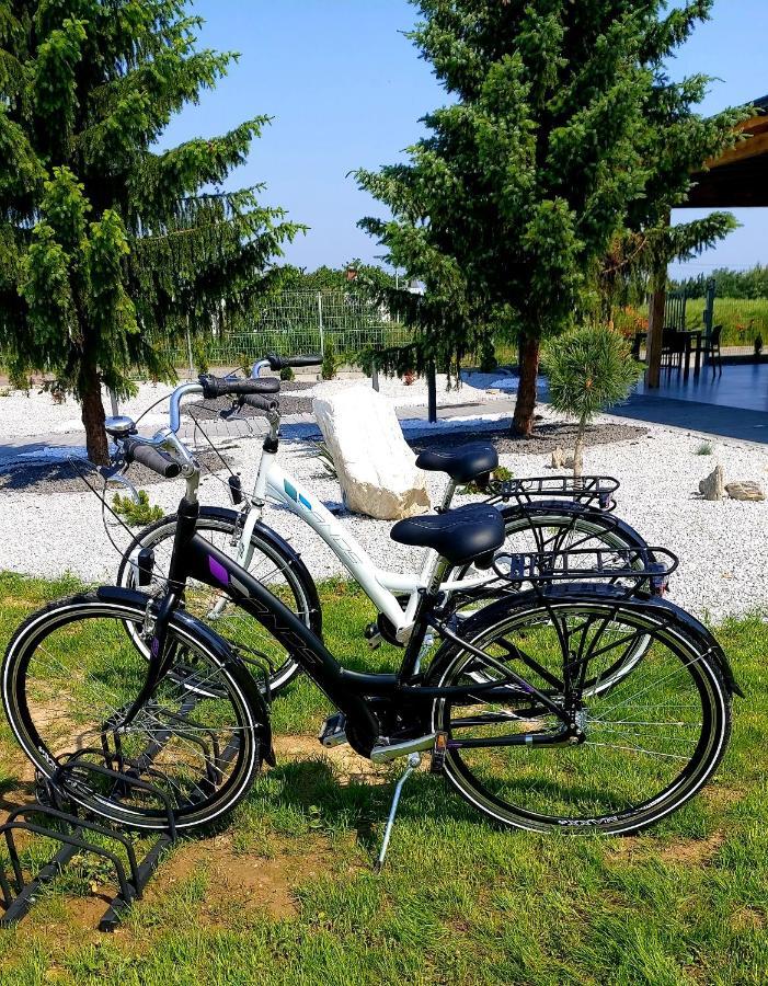 Przystanek Roszkow -Noclegi I Restauracja Esterno foto